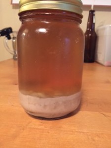 Harvested yeast after a day or two in the fridge. 